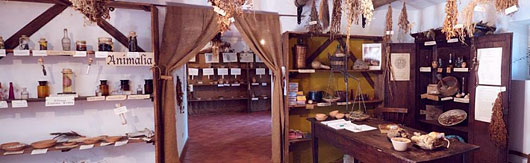 Museo delle Erbe - Viridarium